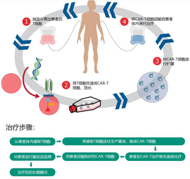 nk细胞_nk t细胞淋巴瘤_nk细胞大小