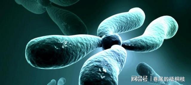 弱精症_弱精症调理_少弱精症的治疗