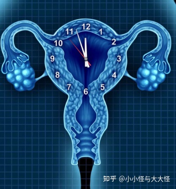 子宫内膜薄