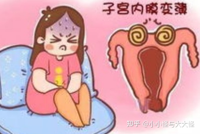 子宫内膜薄
