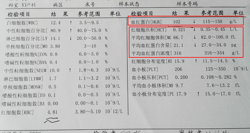 地海中贫血图片_地海中贫血会死吗_地中海贫血