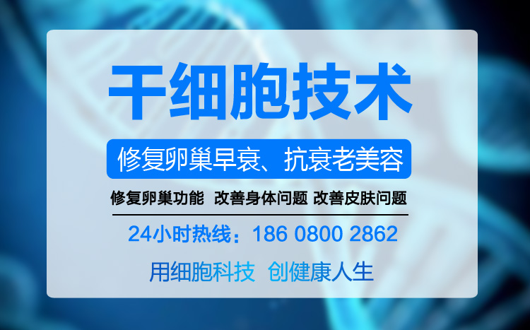 子宫内膜薄
