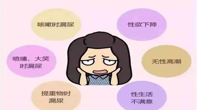盆底肌修复