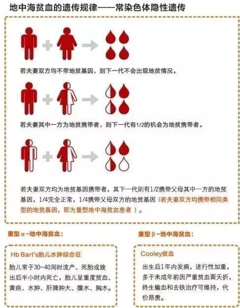地中海世界_地海中贫血有什么症状_地中海贫血