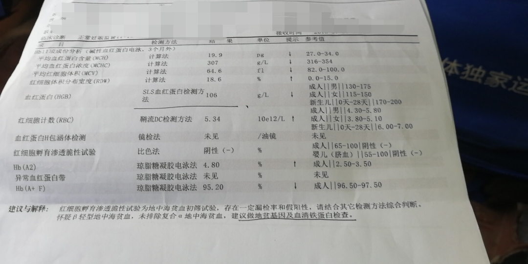 地中海贫血_地海中贫血有什么症状_地中海世界