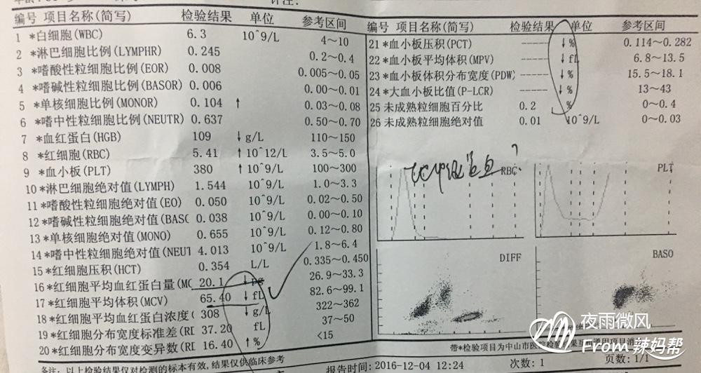 地海中贫血有什么症状_地中海世界_地中海贫血