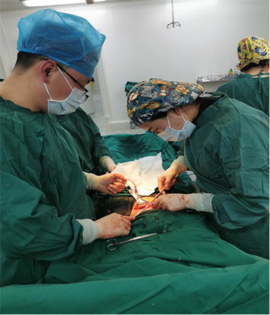 什么是子宫腺肌症_子宫腺肌症怎么治疗_子宫腺肌症