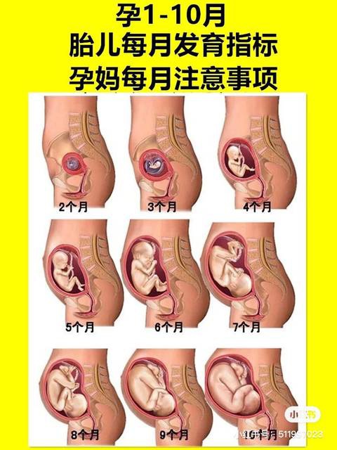 hcg正常值_宫外孕的hcg值下降到多少才正常_hcg值范围是多少正常