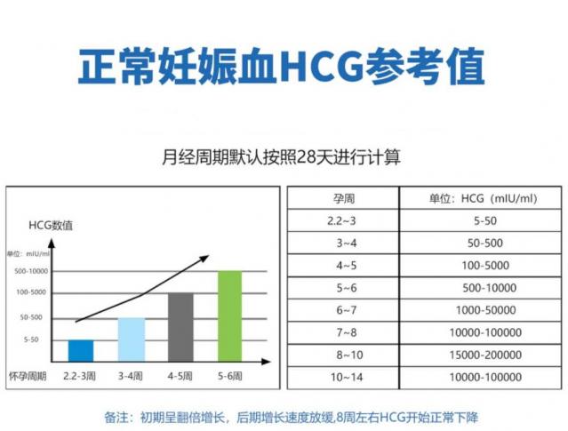 hcg正常值