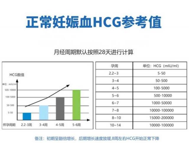 hcg正常值
