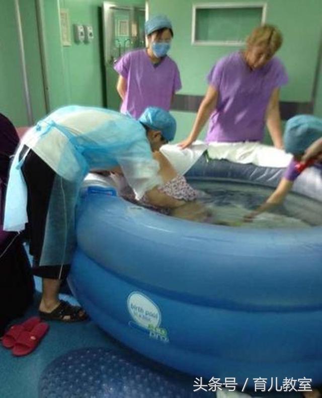 水中分娩_各种动物交娩_水中分白鹭洲