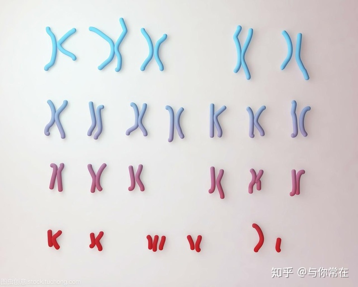 特纳氏综合症