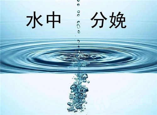 水中分娩多少钱.png