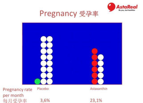 窦卵泡计数