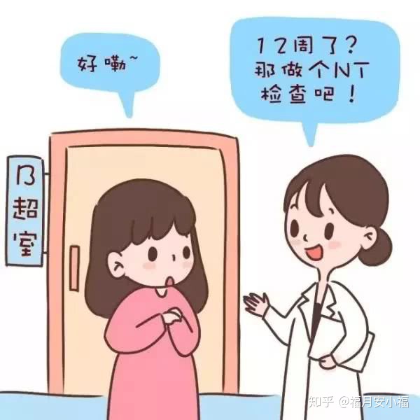 nt检查