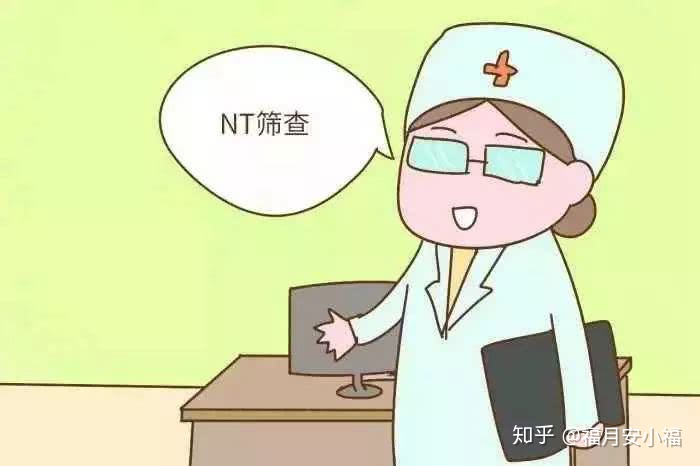 nt检查