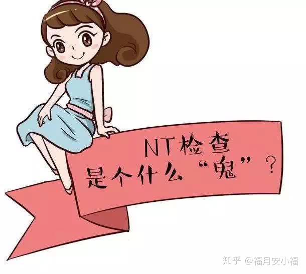 nt检查