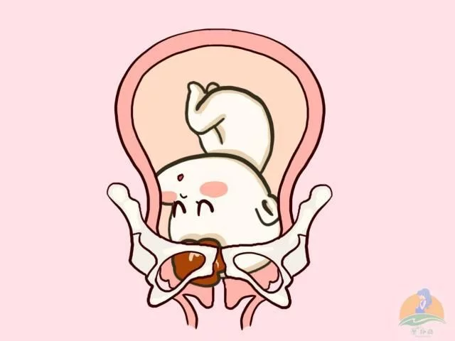 孕期胎宝宝“打嗝”的位置,可大概判断胎位,准妈妈们了解一下(图9) 新生儿打嗝