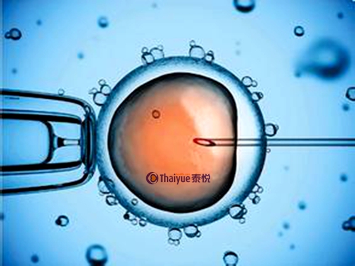 1-21120Q14F2195.jpg