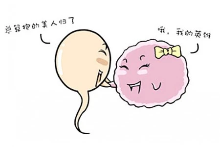u=1888854400,1880015883&fm=26&fmt=auto.png