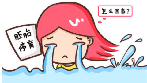 胚胎停育的常见原因及预防措施