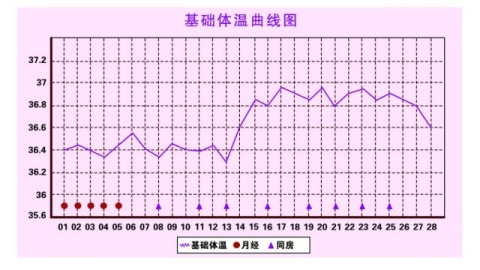 女性基础体温详解：周期变化、测量方法与临床意义