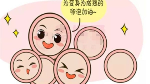 孕妇可以喝苦荞吗