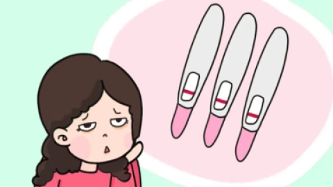 孕妇能吃玉米面馒头吗 孕妇能喝玉米面糊糊吗