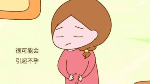 关于白细胞计数  这篇文章也许有你不知道的 4 点