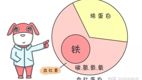 地中海贫血与缺铁性贫血长的很“像”，如何区分？