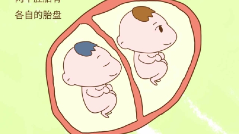 如何生双胞胎