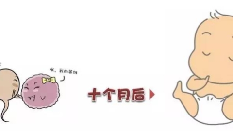 多胎妊娠跟什么有关