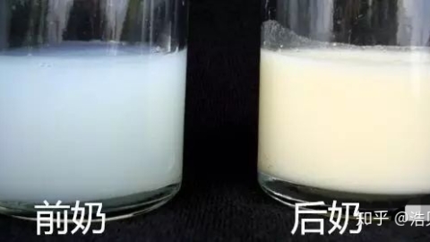 奶水稀有营养吗