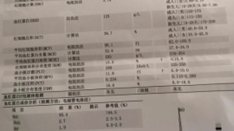 地中海贫血是什么_医药卫生_专业资料