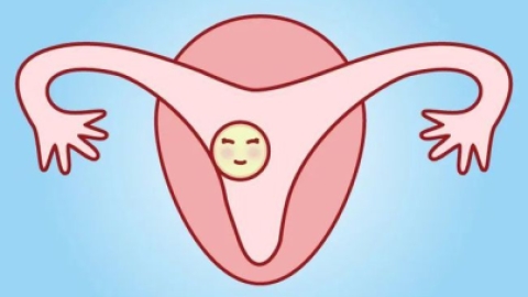 子宫内膜薄闭经应该怎么办