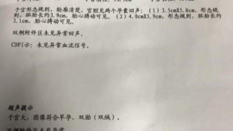 什么是多胎妊娠
