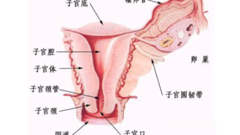 着床降温是着床前还是着床后