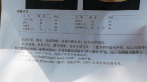 海外第三代试管婴儿宫腔环境怎么检查?