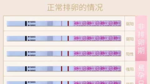 排卵试纸强阳什么时候同房最佳