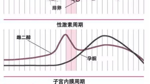 黄体素浓度不够