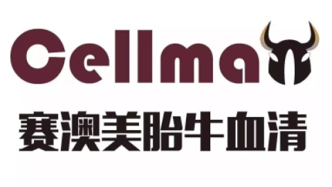 nk细胞 NK细胞的作用有多重要？让事实告诉大家！