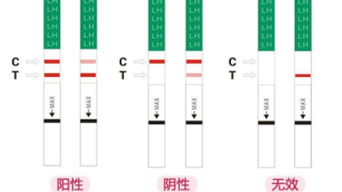 从排卵试纸强阳和弱阳的对照图片 判断排卵的具体时间