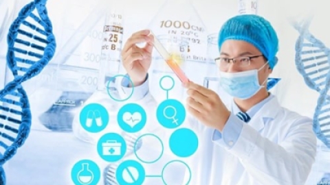 辅助生殖和试管的区别？辅助生殖是什么意思
