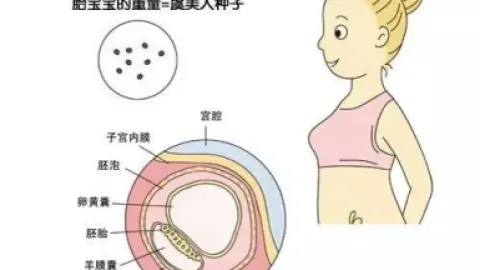 子宫内膜正常厚度是多少