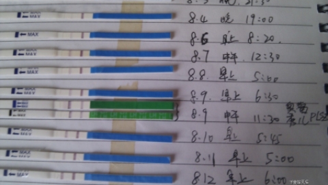 排卵试纸强阳_保健养生_生活休闲