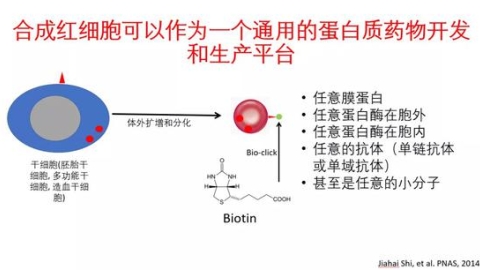 新药研发20年 史家海：红细胞技术如何接轨基因治疗等