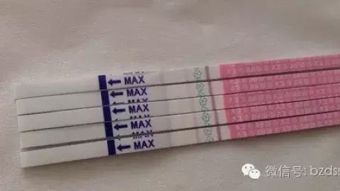 B超监测没有优势卵泡，怎么排卵试纸却强阳了