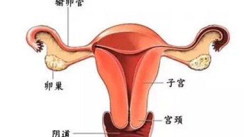> 宫腔镜检查是怎么回事？你适合做宫腔镜检查吗？应该注意什么