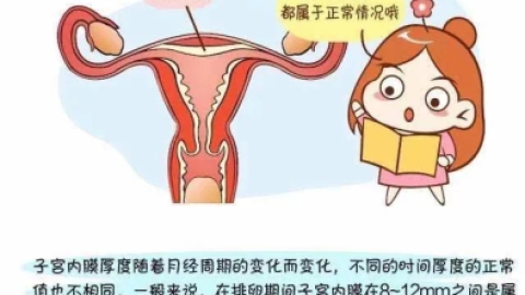 子宫内膜薄怎么办