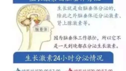 特纳综合症 特纳氏综合症